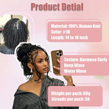 StariaHair Deep Wave Feather Crochet Human Hair Premium Pre-Looped Extension for Boho Braids